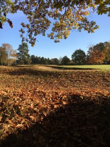 autumn-golf